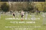 11864 photo